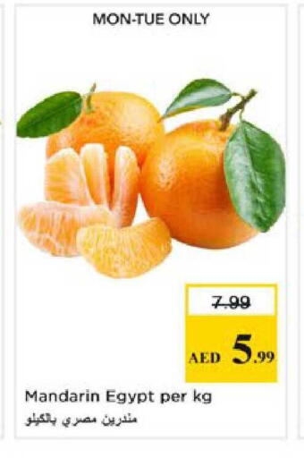 Mandarin from Egypt available at نستو هايبرماركت in الإمارات العربية المتحدة , الامارات - رَأْس ٱلْخَيْمَة