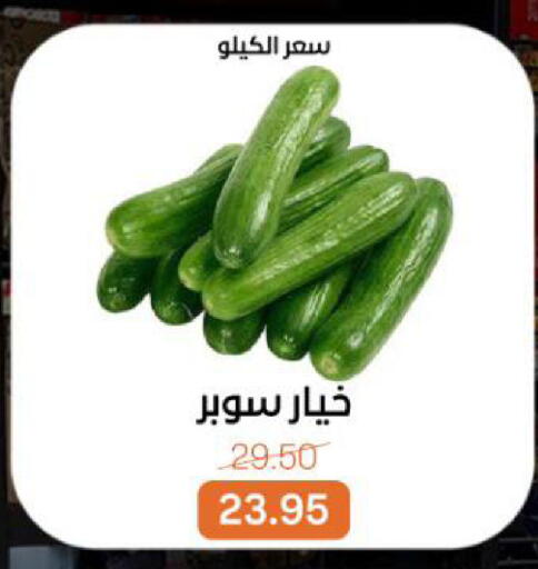 available at بيت الجملة in Egypt - القاهرة