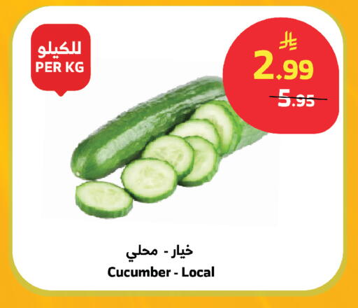 Cucumber available at الراية in مملكة العربية السعودية, السعودية, سعودية - مكة المكرمة