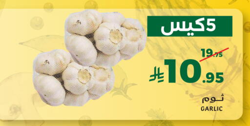 Garlic available at ميرا مارت مول in مملكة العربية السعودية, السعودية, سعودية - جدة