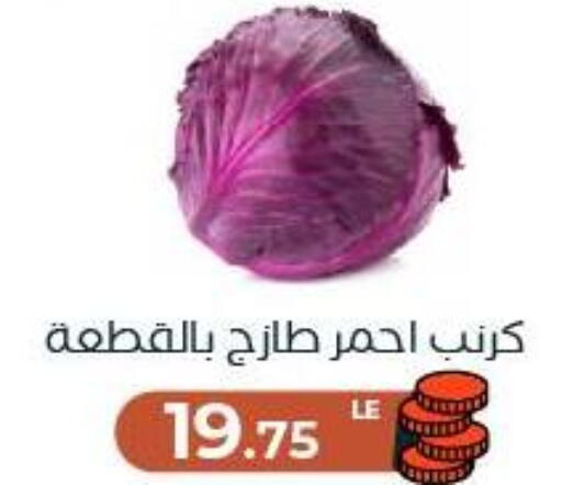 available at Arafa Market in Egypt - Cairo