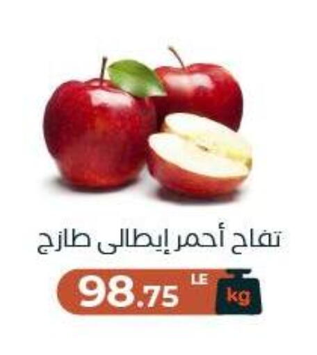 available at Arafa Market in Egypt - Cairo