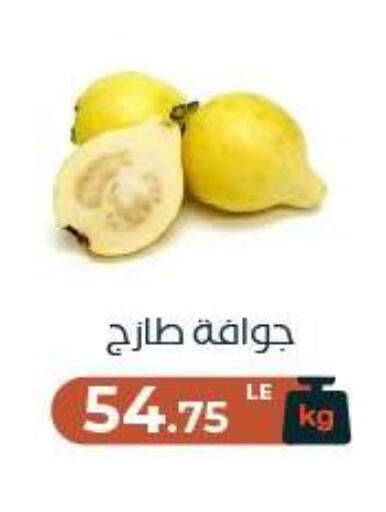 available at Arafa Market in Egypt - Cairo