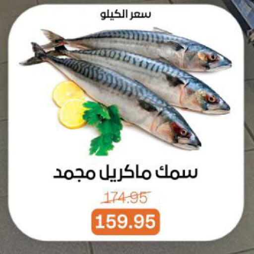 available at بيت الجملة in Egypt - القاهرة
