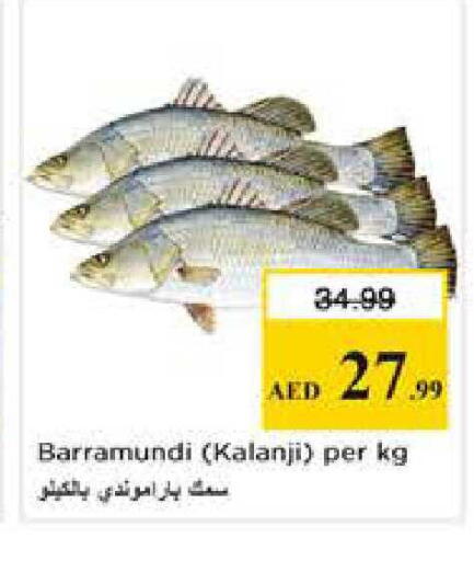 available at Nesto Hypermarket in UAE - Sharjah / Ajman