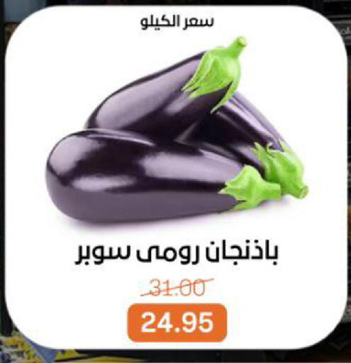 available at بيت الجملة in Egypt - القاهرة