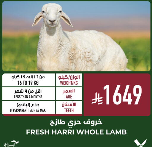 available at أبراج هايبر ماركت in مملكة العربية السعودية, السعودية, سعودية - مكة المكرمة
