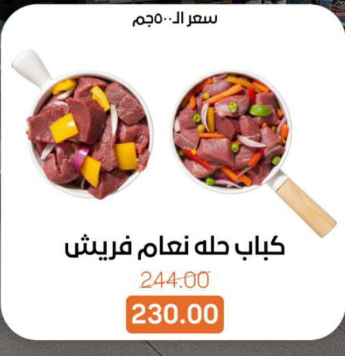 available at بيت الجملة in Egypt - القاهرة