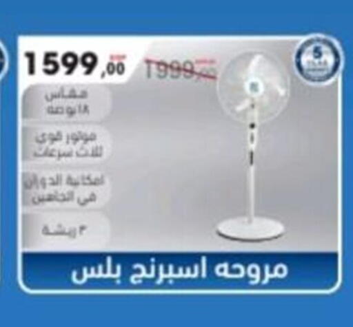 available at El mhallawy Sons in Egypt - Cairo
