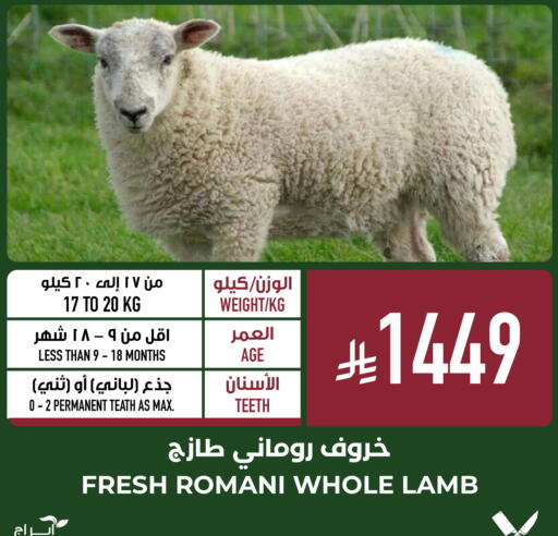 available at أبراج هايبر ماركت in مملكة العربية السعودية, السعودية, سعودية - مكة المكرمة