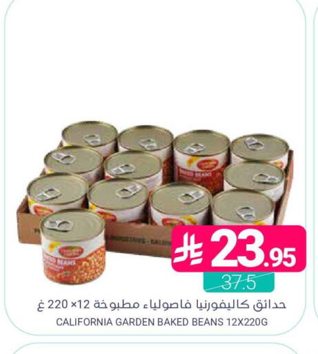 available at Muntazah Markets in KSA, Saudi Arabia, Saudi - Dammam