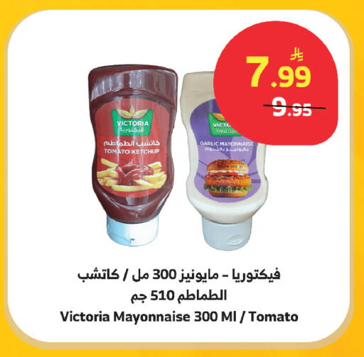 Tomato Garlic available at الراية in مملكة العربية السعودية, السعودية, سعودية - مكة المكرمة