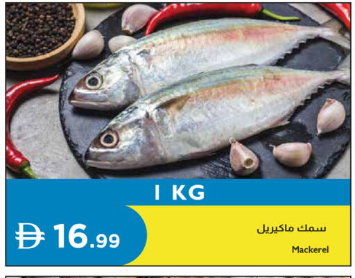 available at Istanbul Supermarket in UAE - Dubai