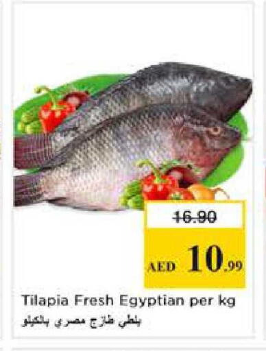 available at Nesto Hypermarket in UAE - Abu Dhabi