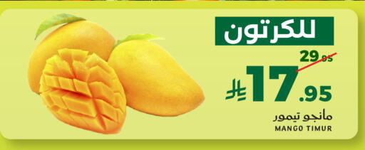 Mango available at ميرا مارت مول in مملكة العربية السعودية, السعودية, سعودية - جدة