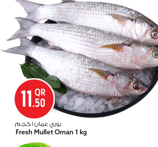 available at سفاري هايبر ماركت in قطر - الدوحة