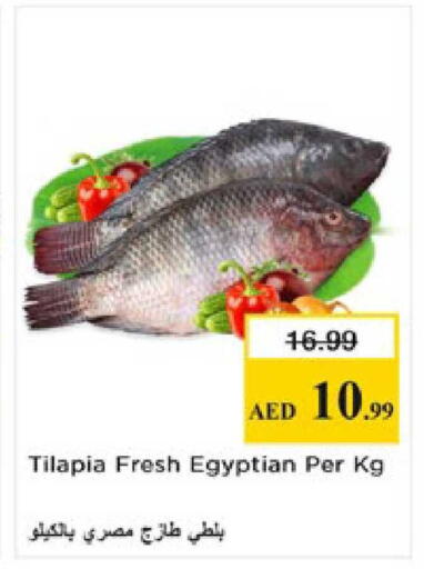 available at Nesto Hypermarket in UAE - Al Ain