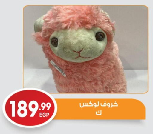 available at El mhallawy Sons in Egypt - Cairo