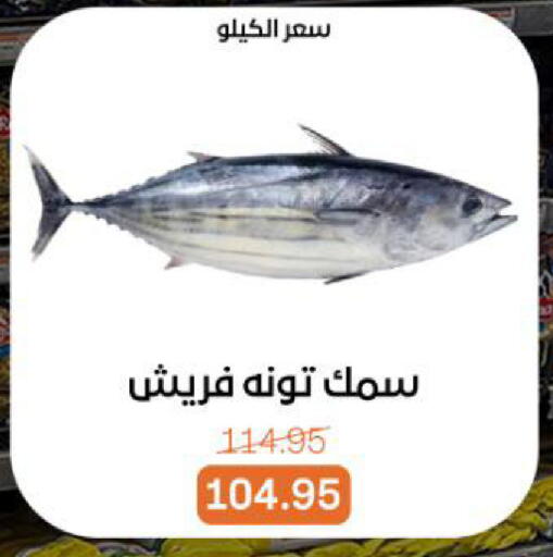 available at بيت الجملة in Egypt - القاهرة