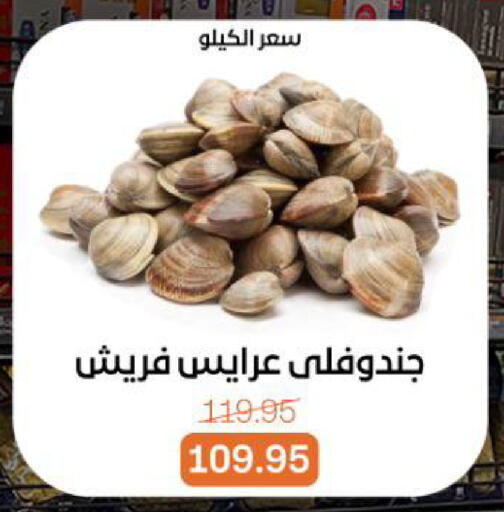 available at بيت الجملة in Egypt - القاهرة