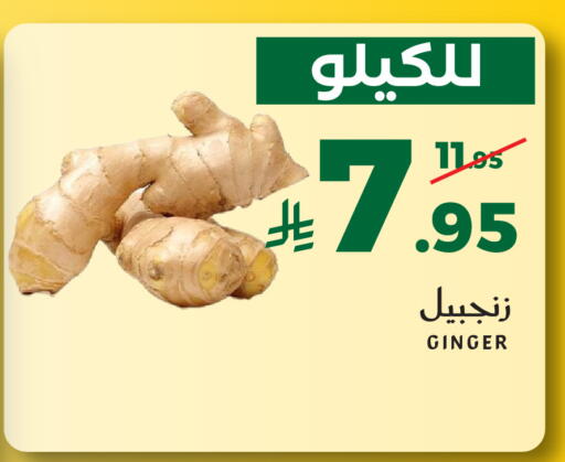 Ginger available at ميرا مارت مول in مملكة العربية السعودية, السعودية, سعودية - جدة