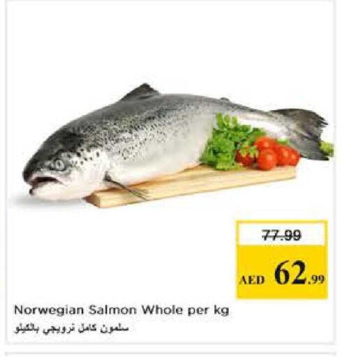 available at Nesto Hypermarket in UAE - Dubai