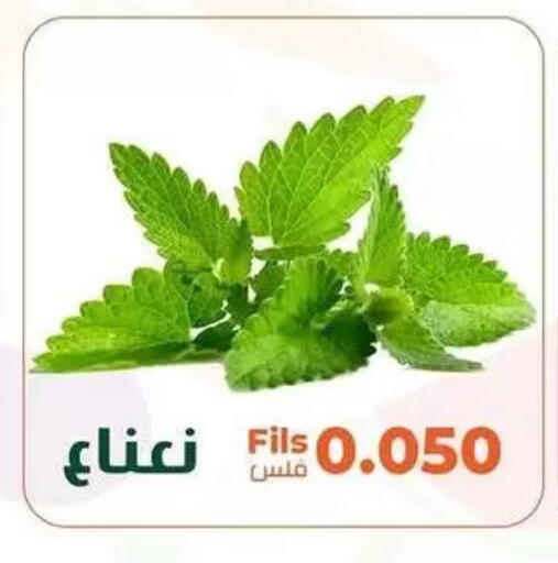 available at جمعية خيطان التعاونية in الكويت - مدينة الكويت