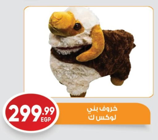 available at El mhallawy Sons in Egypt - Cairo