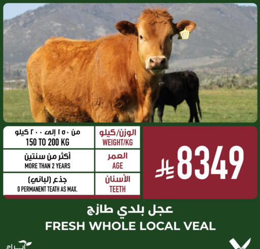 available at أبراج هايبر ماركت in مملكة العربية السعودية, السعودية, سعودية - مكة المكرمة