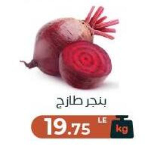available at Arafa Market in Egypt - Cairo