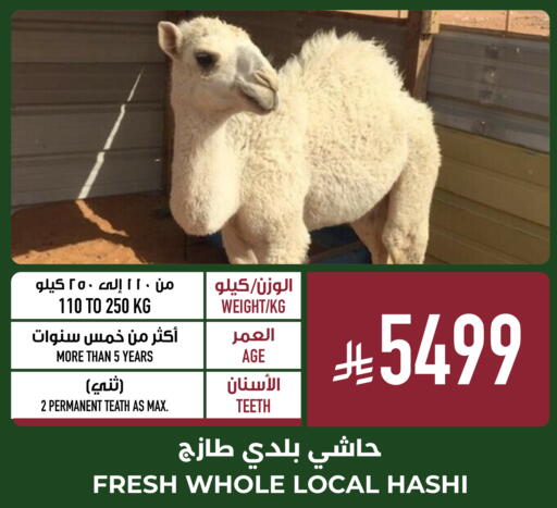 available at أبراج هايبر ماركت in مملكة العربية السعودية, السعودية, سعودية - مكة المكرمة