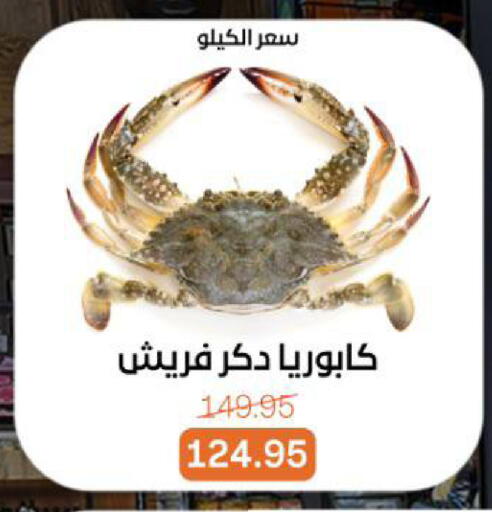 available at بيت الجملة in Egypt - القاهرة