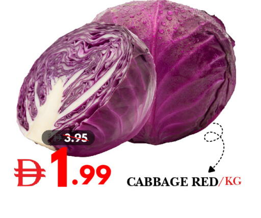 Cabbage available at DESERT FRESH MARKET  in UAE - Abu Dhabi