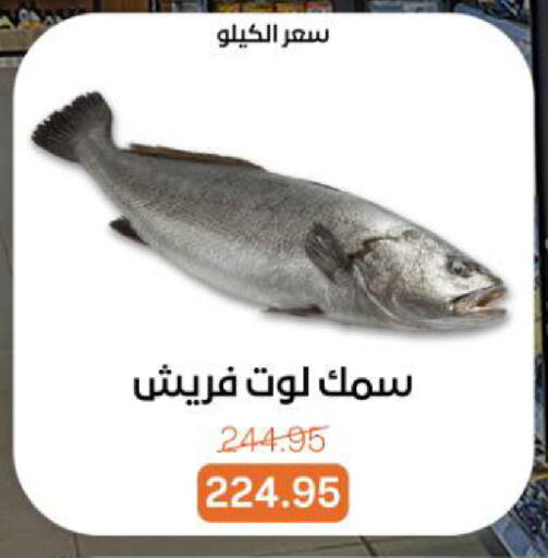 available at بيت الجملة in Egypt - القاهرة