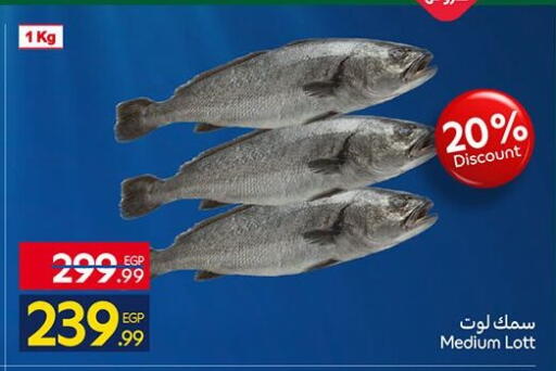 available at كارفور in Egypt - القاهرة