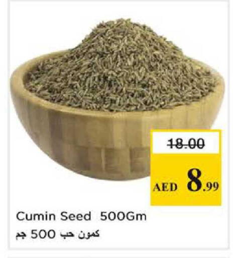 Cumin available at نستو هايبرماركت in الإمارات العربية المتحدة , الامارات - أبو ظبي