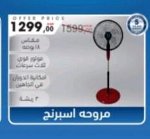 available at El mhallawy Sons in Egypt - Cairo