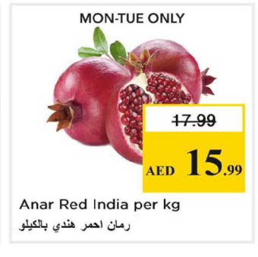 from India available at Nesto Hypermarket in UAE - Dubai