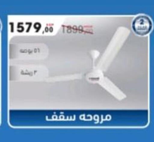 available at El mhallawy Sons in Egypt - Cairo