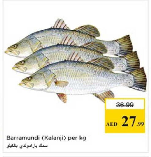 available at نستو هايبرماركت in الإمارات العربية المتحدة , الامارات - رَأْس ٱلْخَيْمَة