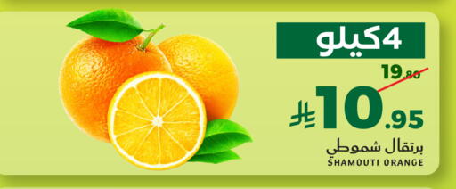 Orange available at ميرا مارت مول in مملكة العربية السعودية, السعودية, سعودية - جدة