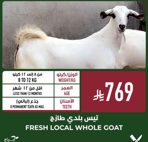 available at أبراج هايبر ماركت in مملكة العربية السعودية, السعودية, سعودية - مكة المكرمة