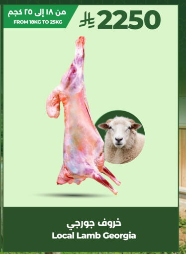 available at LULU Hypermarket in KSA, Saudi Arabia, Saudi - Al-Kharj