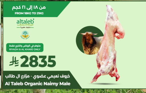 available at لولو هايبرماركت in مملكة العربية السعودية, السعودية, سعودية - الرياض