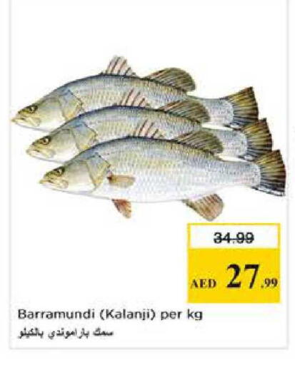 available at Nesto Hypermarket in UAE - Abu Dhabi