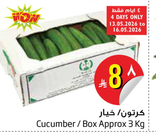 Cucumber available at Layan Hyper in KSA, Saudi Arabia, Saudi - Dammam