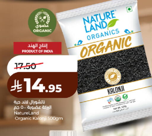 available at لولو هايبرماركت in مملكة العربية السعودية, السعودية, سعودية - تبوك