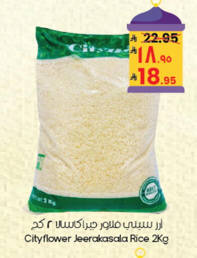 available at City Flower in KSA, Saudi Arabia, Saudi - Buraidah