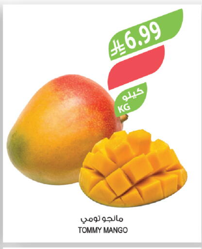 Mango available at المزرعة in مملكة العربية السعودية, السعودية, سعودية - ينبع