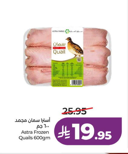 available at لولو هايبرماركت in مملكة العربية السعودية, السعودية, سعودية - الخبر‎